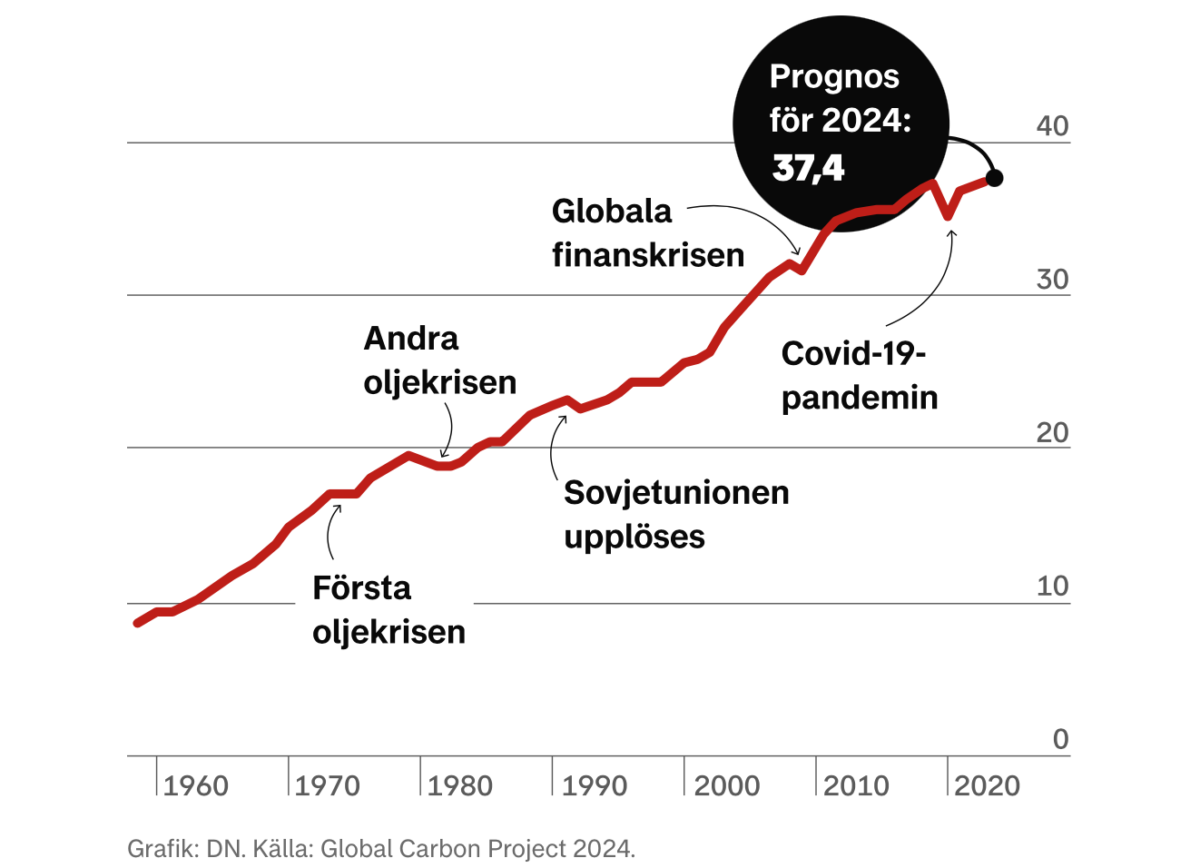 Ny rapport: 2024 blir det varmaste året någonsin