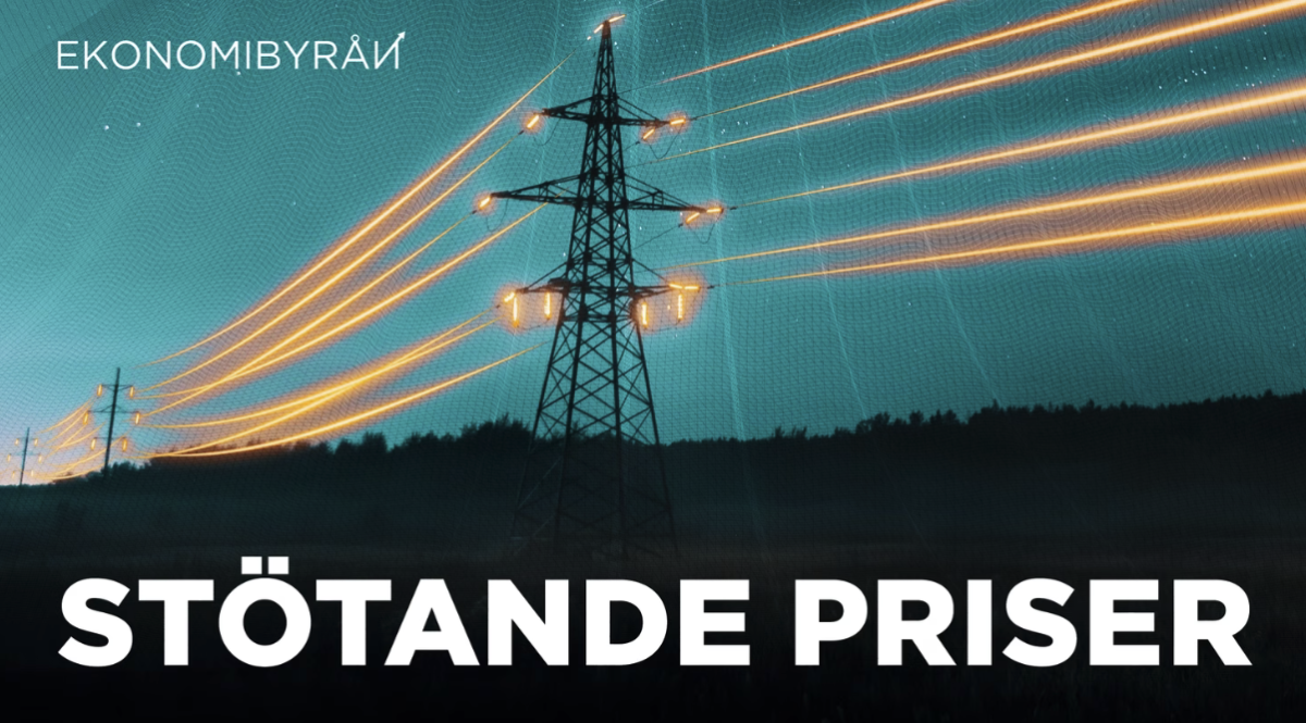 Ekonomibyrån, SVT förklarar elpris